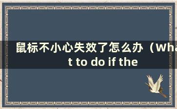 鼠标不小心失效了怎么办（What to do if the mouse is disable）